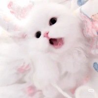 ^_^ avatar